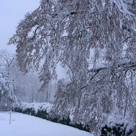 Bed & Breakfast D'hotes Le Perdigon Estang